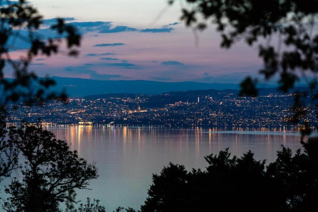 Le Garden - Ski - Vue Lac - Piscine - Parking - Evian - Thonon - Lugrin Exterior foto